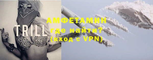 стаф Осинники