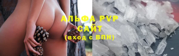 молекула духа Липки