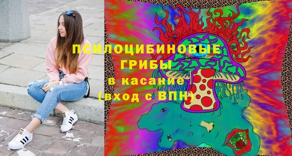 амф Магас