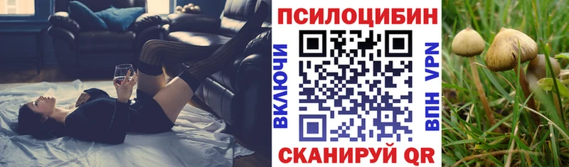 купить наркоту  Чишмы  Галлюциногенные грибы Psilocybine cubensis 
